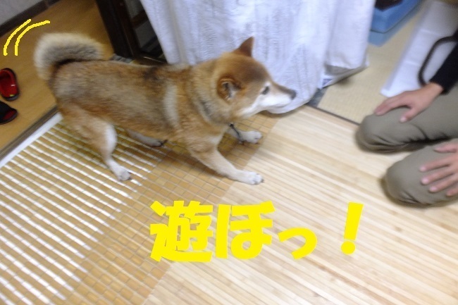 DSCF0037.JPG