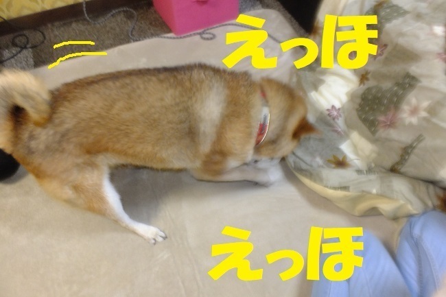 DSCF0063.JPG