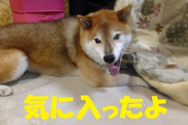 DSCF0071.JPG