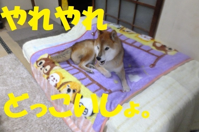 DSCF0095.JPG