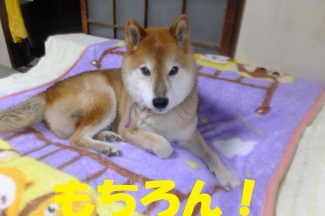 DSCF0098.JPG