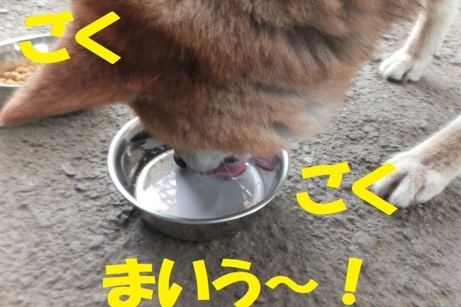 DSCF0540.JPG