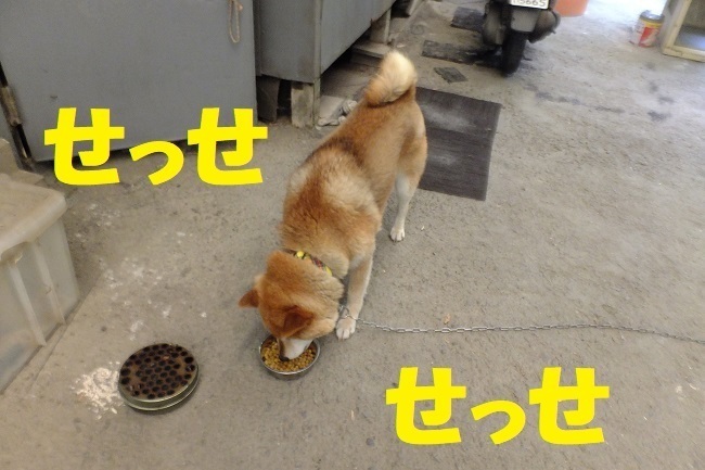 DSCF1158.JPG