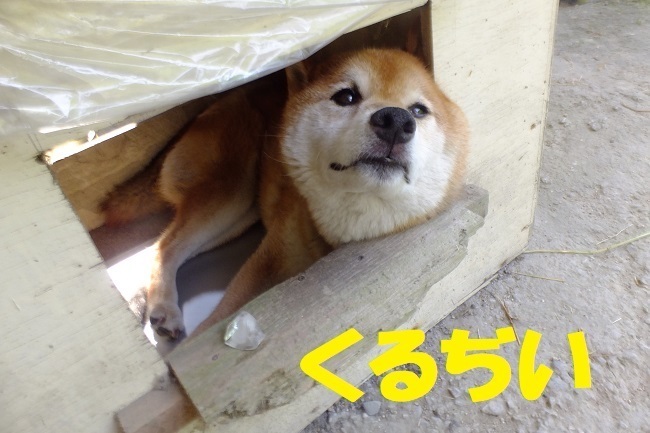 DSCF1170.JPG