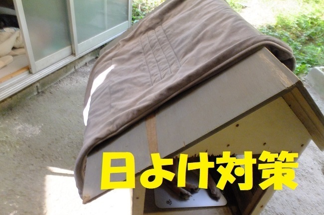 DSCF1175.JPG