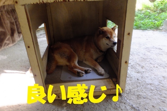 DSCF1176.JPG