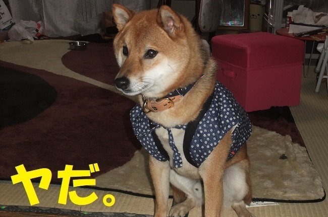 DSCF1191.jpg