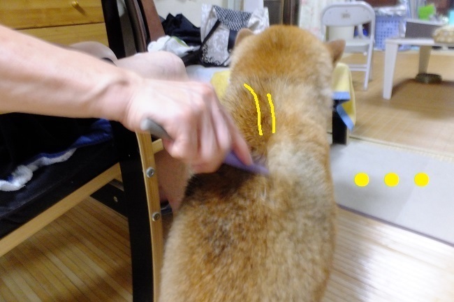DSCF1870.JPG