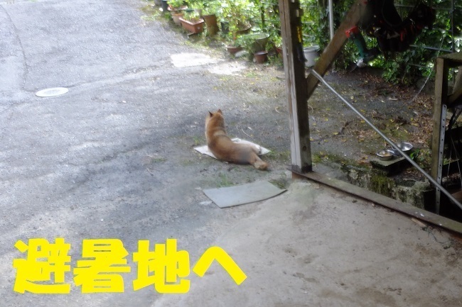 DSCF1879.JPG