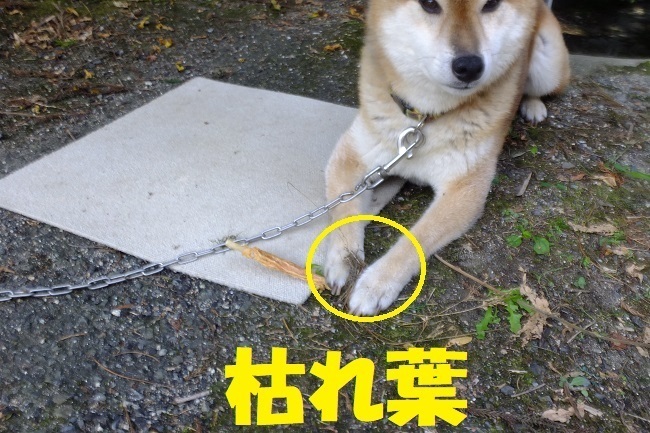 DSCF1884.JPG