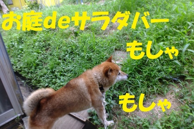 DSCF1890.JPG