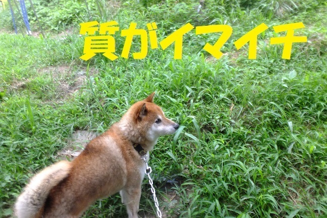 DSCF1891.JPG