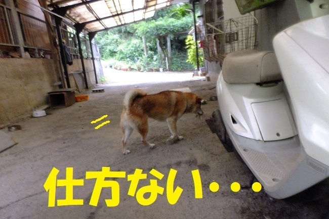 DSCF1896.JPG