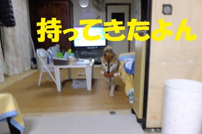 DSCF2635.JPG