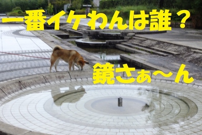 DSCF2688.JPG