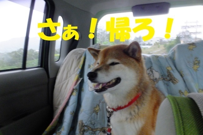 DSCF2694.JPG