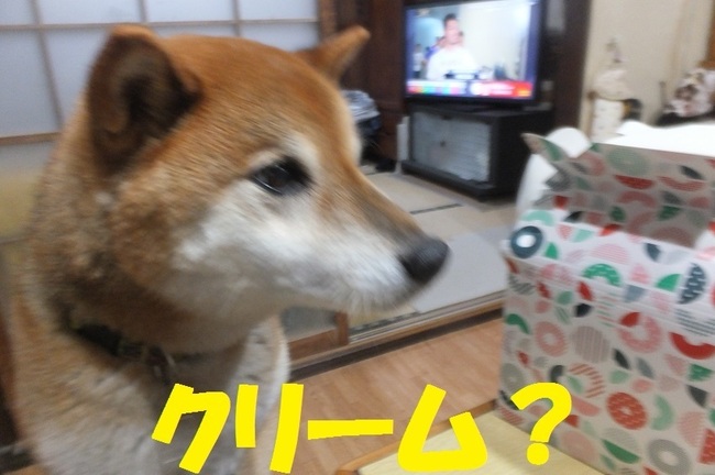 DSCF2868.JPG