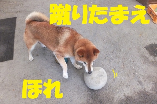 DSCF2899.JPG