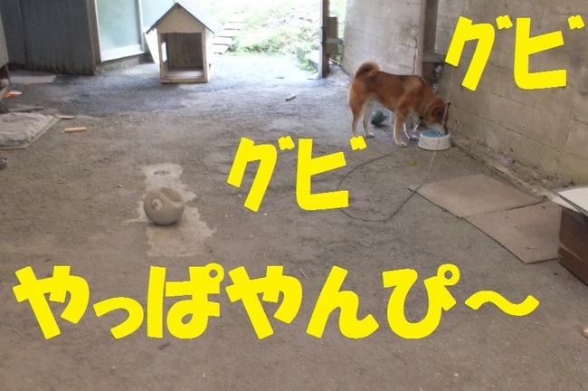 DSCF2908.JPG