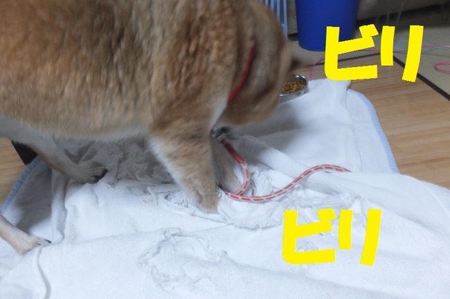 DSCF2935.JPG