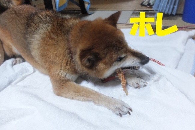 DSCF2938.JPG