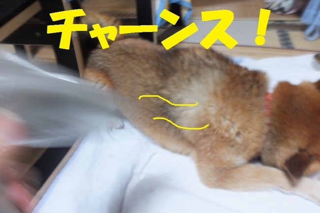 DSCF2941.JPG