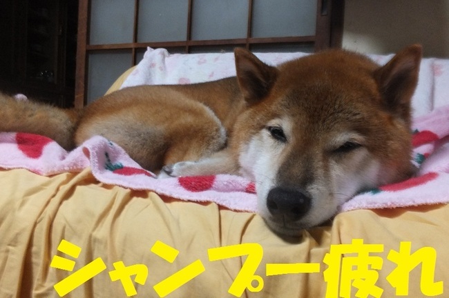 DSCF2960.JPG