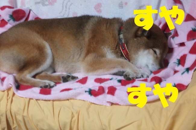 DSCF2971.JPG