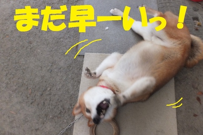 DSCF2986.JPG
