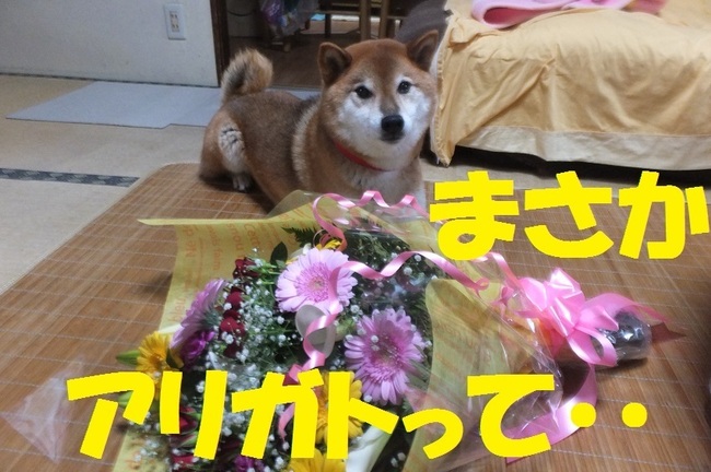 DSCF3017.JPG