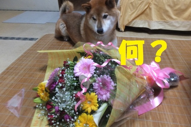 DSCF3019.JPG