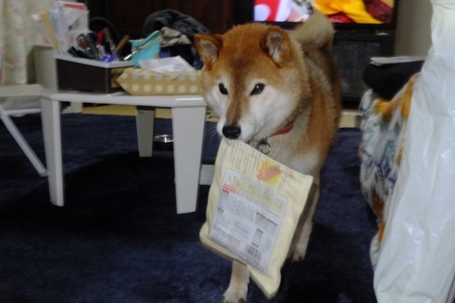 DSCF3070.JPG