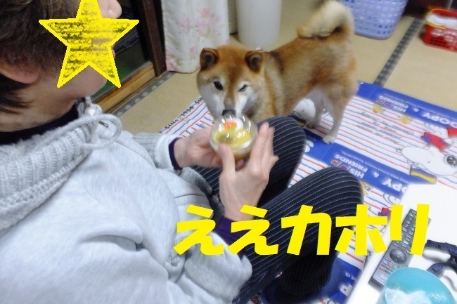 DSCF3514.JPG