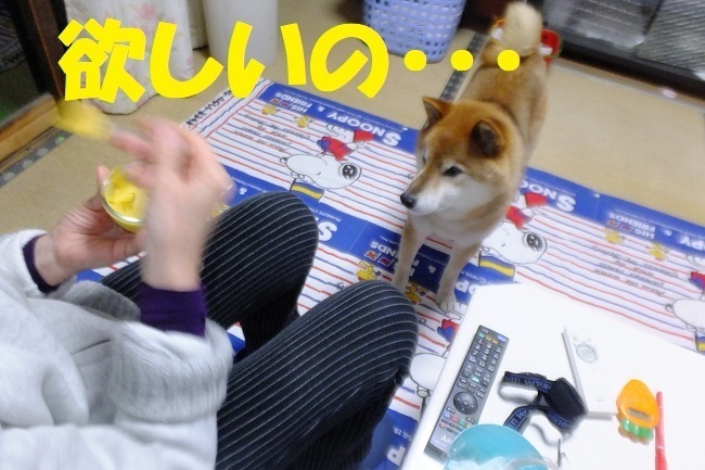 DSCF3518.JPG
