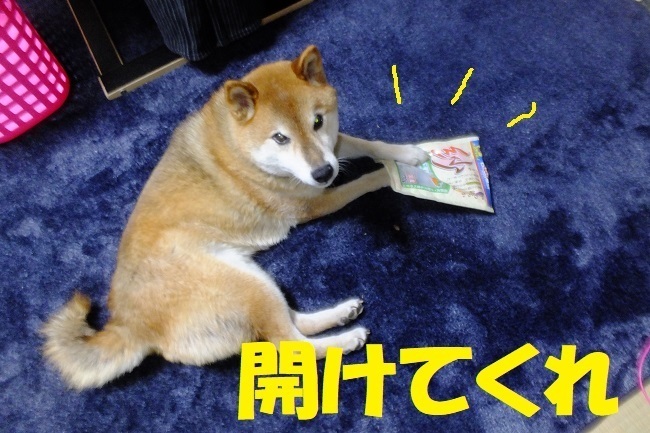 DSCF3521.JPG