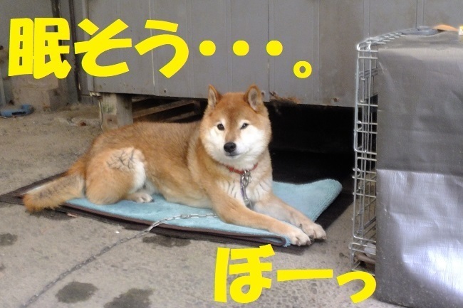 DSCF3730.JPG