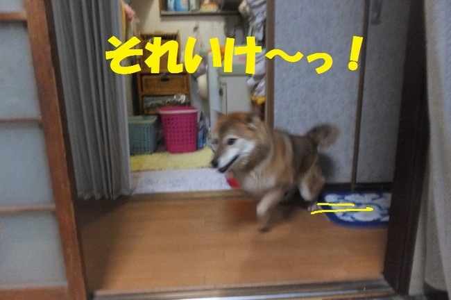 DSCF4065.JPG
