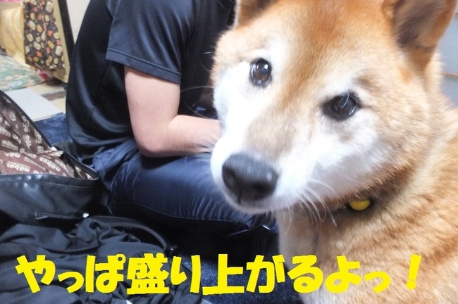 DSCF4116.JPG