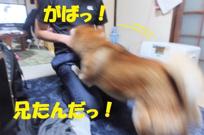 DSCF4119.JPG