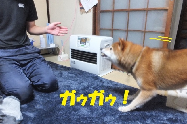 DSCF4126.JPG