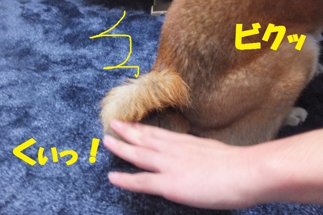 DSCF4187.JPG