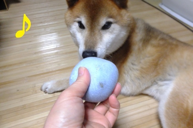 DSCF4285.JPG