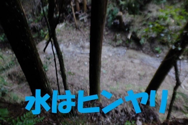 DSCF4351.JPG