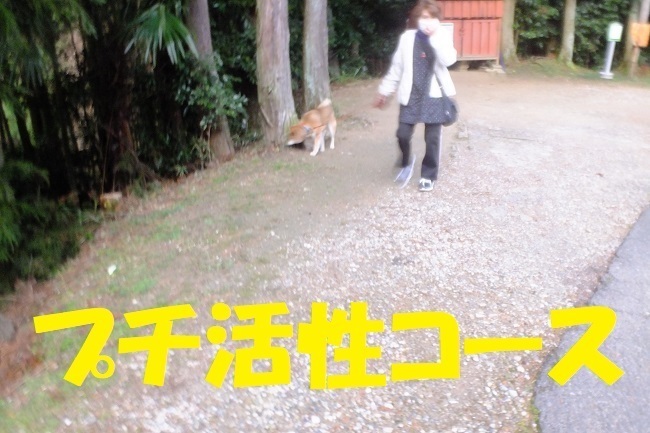 DSCF4358.JPG