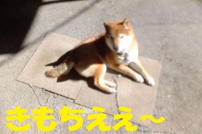 DSCF4965.JPG