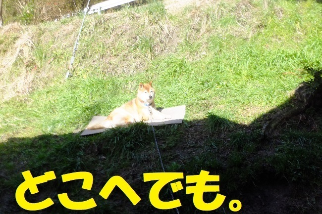 DSCF4983.JPG