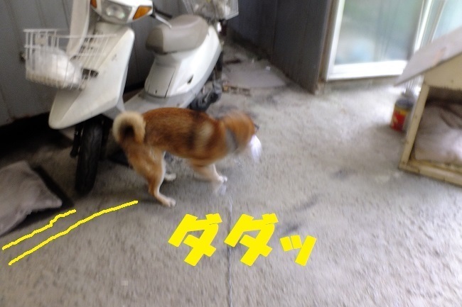 DSCF4998.JPG