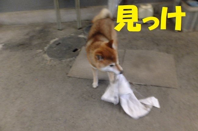 DSCF5007.JPG