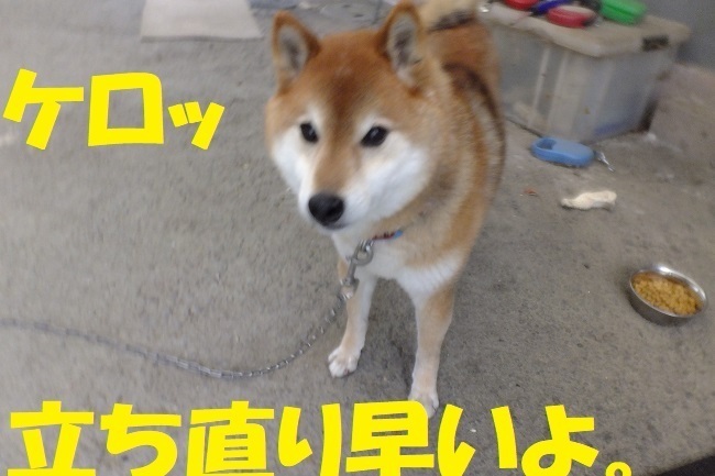 DSCF5020.JPG
