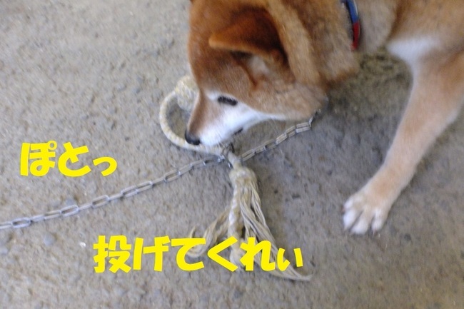 DSCF5034.JPG